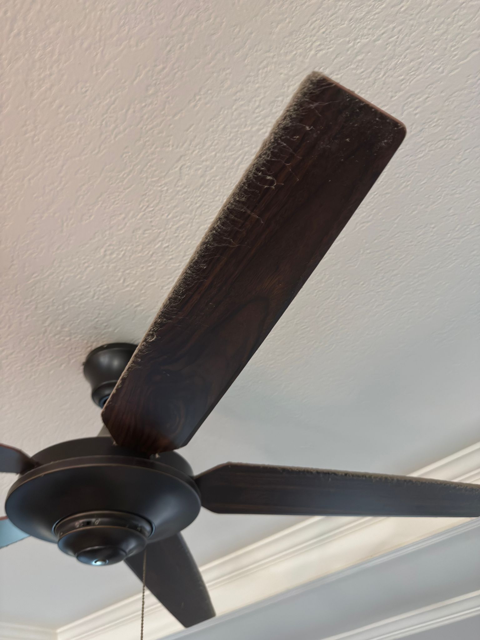 WhatsApp Image 2025-05-19 at 17.43.07 (2) WhatsApp Image 2025-05-19 at 17.43.07 (2)