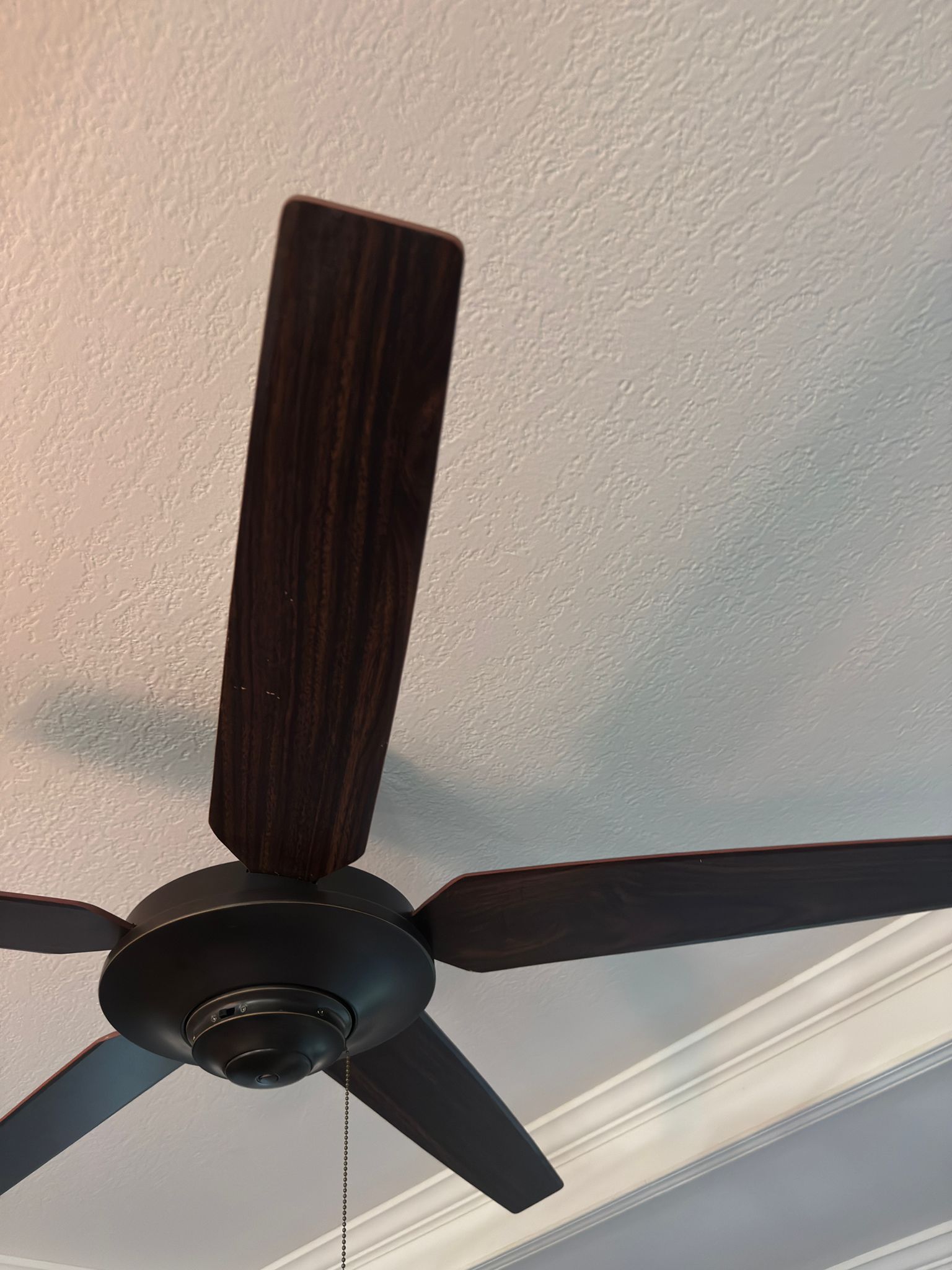 WhatsApp Image 2025-05-19 at 17.43.07 (3)